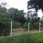 Chácara do Egito, na Igrejinha do Rodeador 32,8ha
