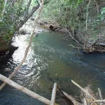 Chácara do Egito, na Igrejinha do Rodeador 32,8ha