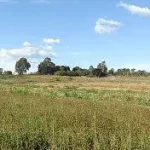 Chácara do Egito, na Igrejinha do Rodeador 32,8ha