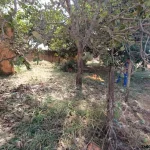 Área de terreno sendo 2 lotes juntos 860m² com uma casa de esquina